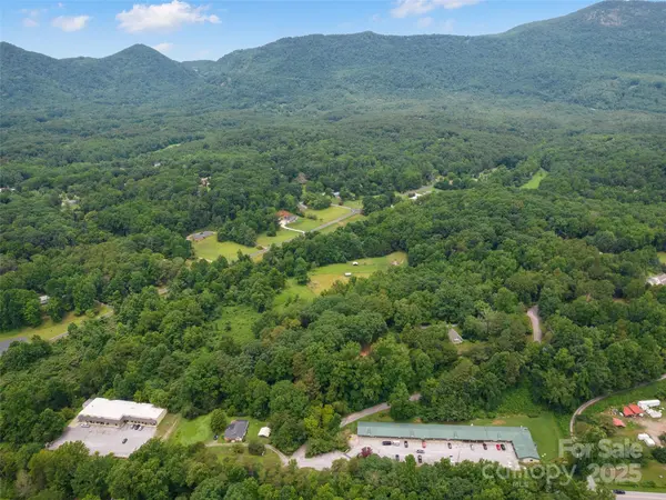 91 Ford Ridge LN, Columbus, NC 28722
