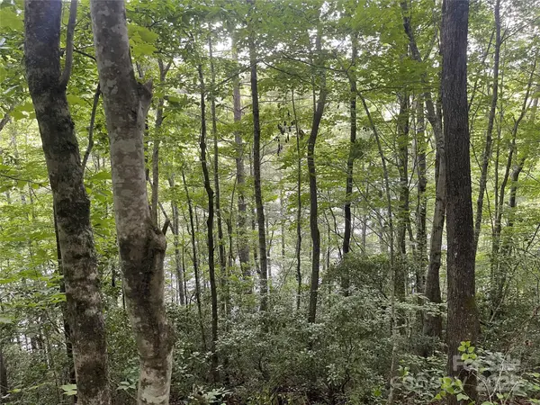 2642 Canada RD, Tuckasegee, NC 28783