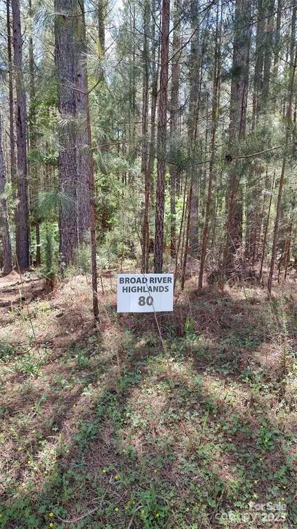 105 Cranberry LN #80, Mooresboro, NC 28114