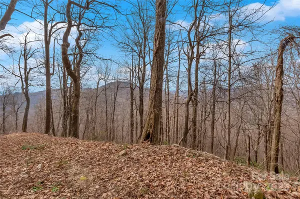 154 High Cliffs TRL #Lot 12A, Black Mountain, NC 28711