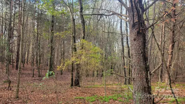 0000 Indian Creek RD, Lincolnton, NC 28092