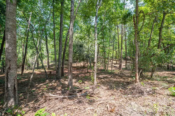 Lot 0 Annapolis CT, Rutherfordton, NC 28139