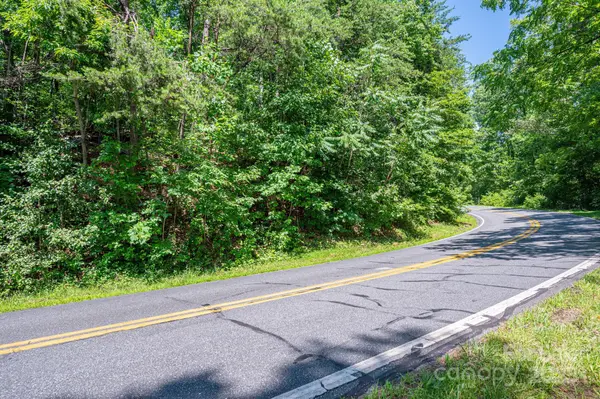 Lot #69 Cleghorn Mill RD, Rutherfordton, NC 28139