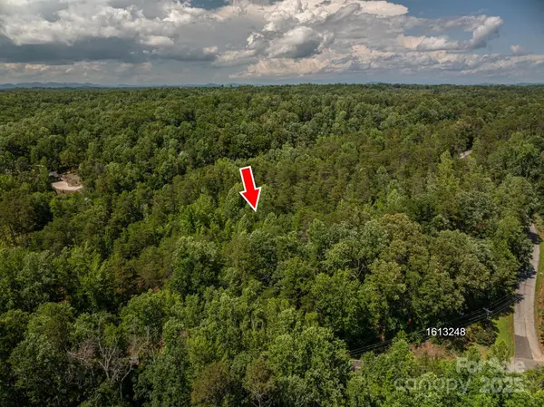 Lot 7 Cleghorn Mill RD, Rutherfordton, NC 28139