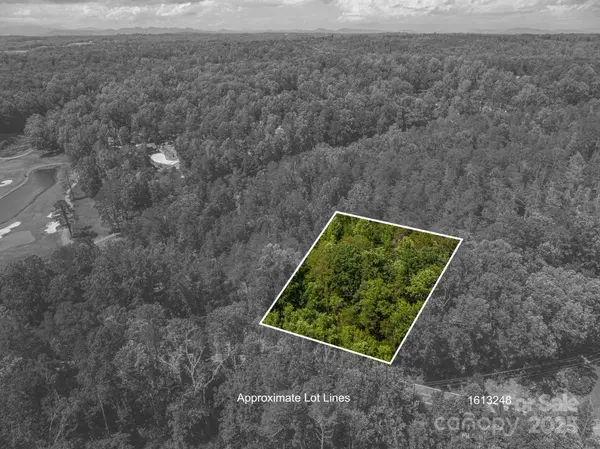 Lot 7 Cleghorn Mill RD, Rutherfordton, NC 28139