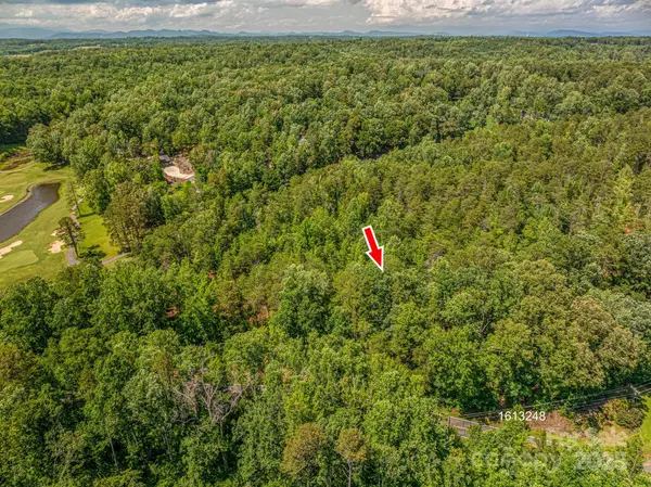 Lot 7 Cleghorn Mill RD, Rutherfordton, NC 28139