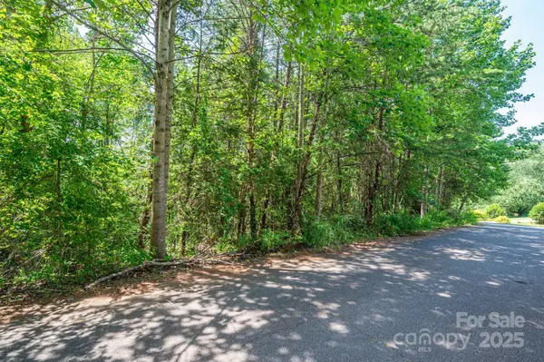Lot #24 Deacons Ridge DR, Rutherfordton, NC 28139