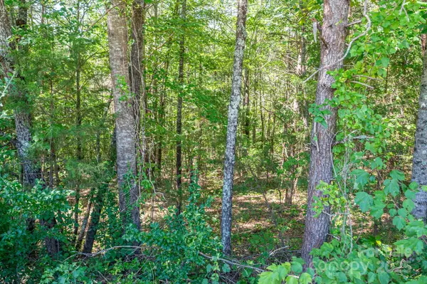 Lot 7 Meadow Crossing DR, Rutherfordton, NC 28139