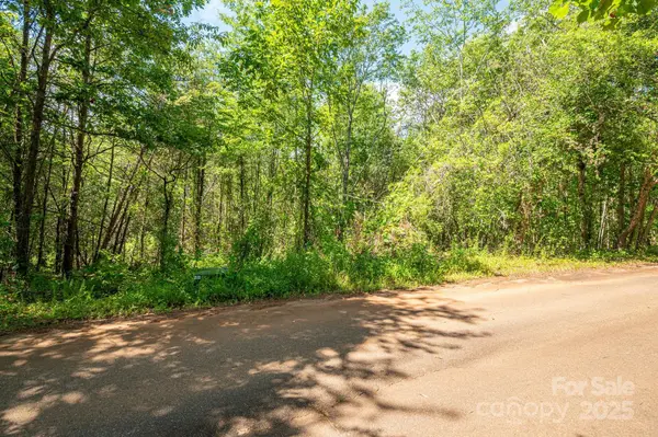 Lot #14 Meadow Crossing DR, Rutherfordton, NC 28139