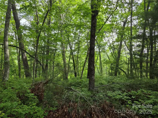 TBD Cedar LN, Brevard, NC 28712