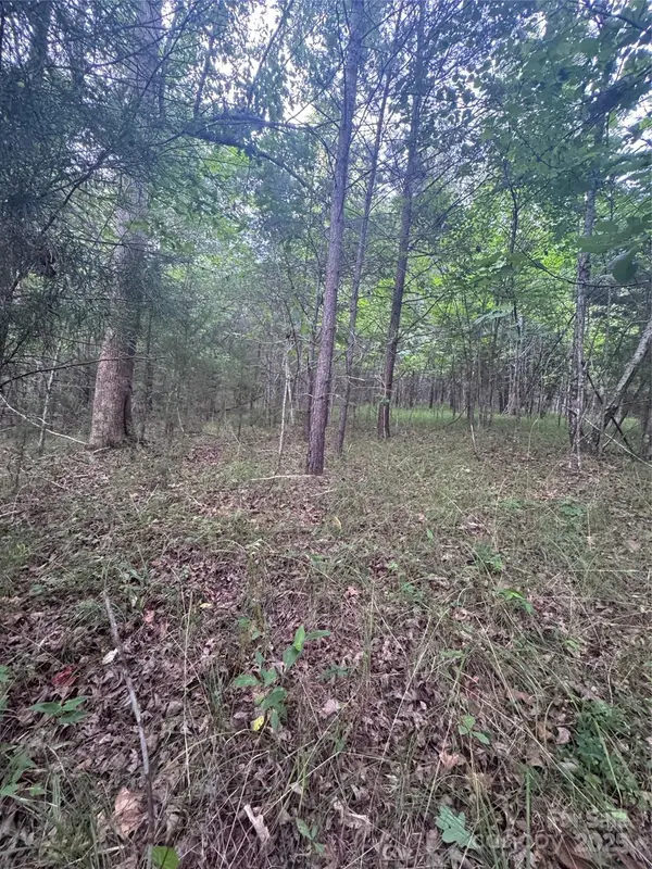 0 Cross Creek DR #67, Rutherfordton, NC 00000