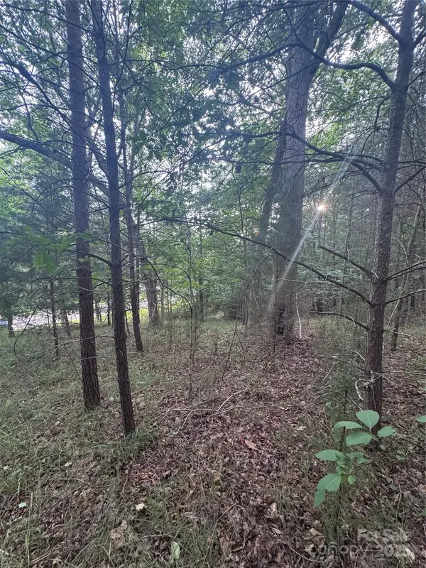 0 Cross Creek DR #67, Rutherfordton, NC 00000