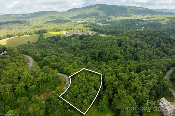 TBD Lot 215 Thunderhill TRL #215, Blowing Rock, NC 28605