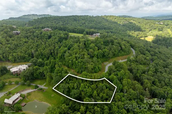 TBD Lot 215 Thunderhill TRL #215, Blowing Rock, NC 28605