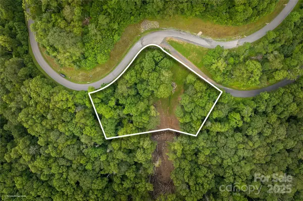 TBD Lot 217 Thunderhill TRL #217, Blowing Rock, NC 28605
