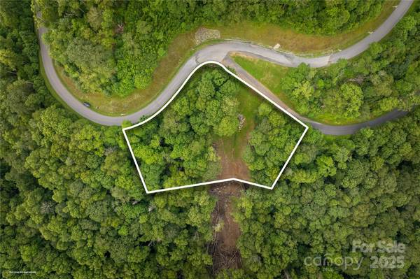 TBD Lot 217 Thunderhill TRL #217, Blowing Rock, NC 28605