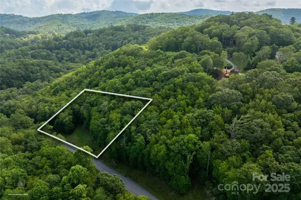 TBD Lot 107 Firethorn TRL #107, Blowing Rock, NC 28605