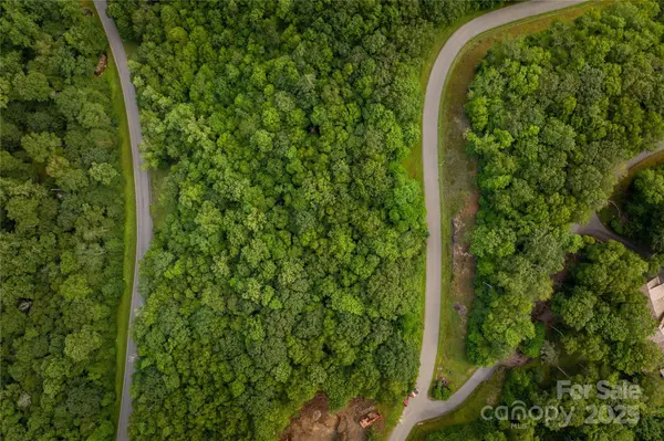 TBD Lot 121 Firethorn TRL #121, Blowing Rock, NC 28605