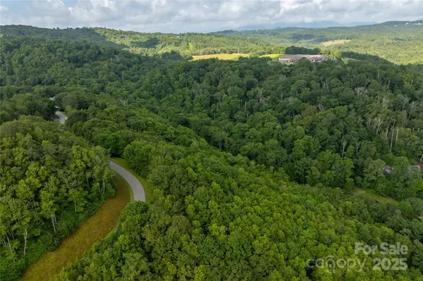 TBD Lot 122 Firethorn TRL #122, Blowing Rock, NC 28605