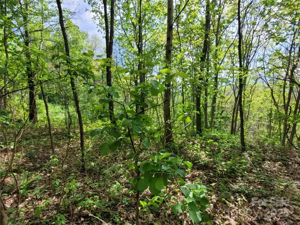 00 Liner Cove RD #1, Waynesville, NC 28786