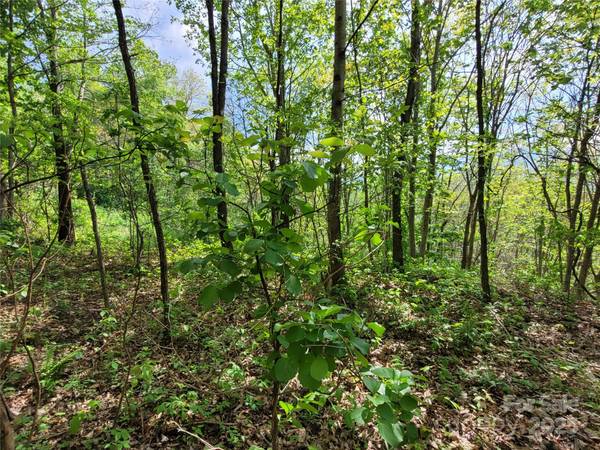 00 Liner Cove RD #1, Waynesville, NC 28786