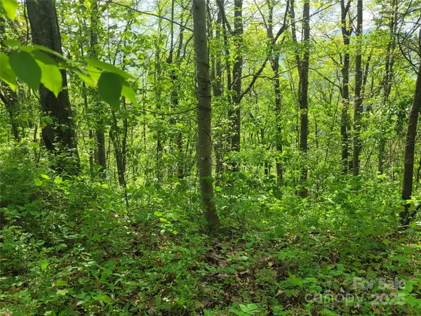 00 Liner Cove RD #2, Waynesville, NC 28786