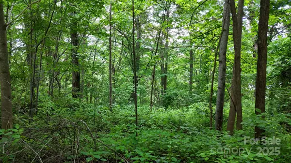 00 Liner Cove RD #2, Waynesville, NC 28786