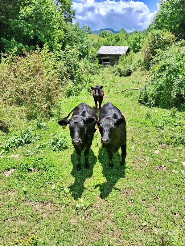2087 Henry RD, Sylva, NC 28779
