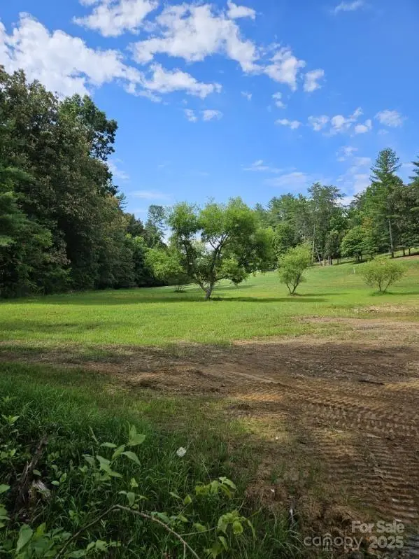 9999 Settlers TRL #38, Mars Hill, NC 28754