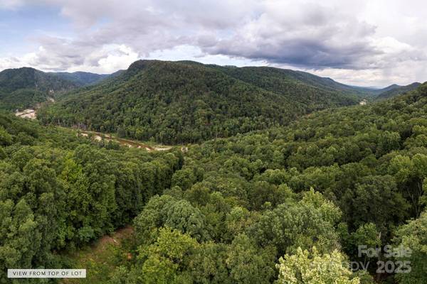 * Green River Cove RD, Saluda, NC 28773
