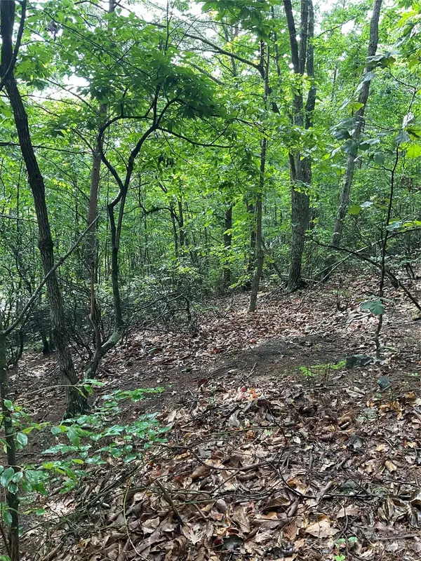 0 Valley View CT, Hickory, NC 28602