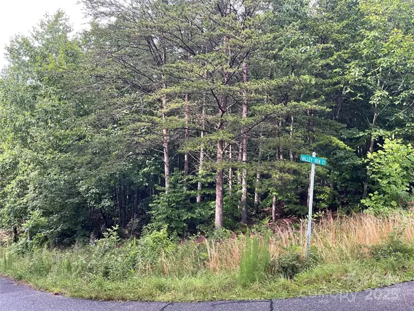 0 Pineknoll DR, Hickory, NC 28602
