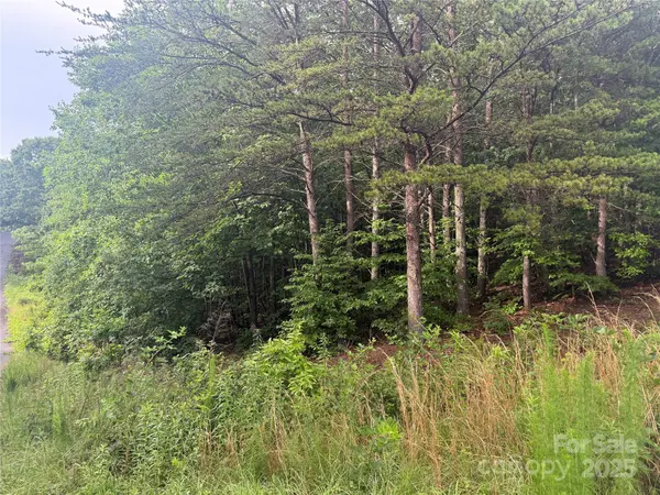 0 Pineknoll DR, Hickory, NC 28602