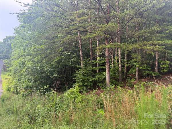 0 Pineknoll DR, Hickory, NC 28602