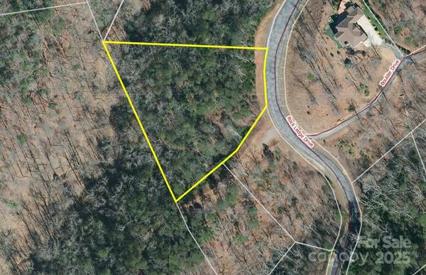 241 Rock Ledge DR, Lake Lure, NC 28746