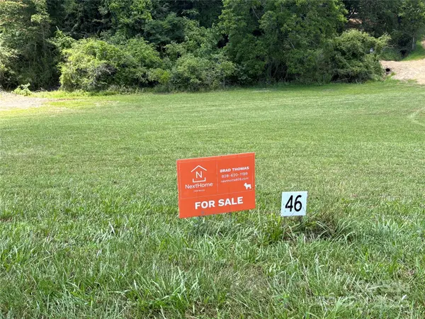 9999 Settlers TRL #46, Mars Hill, NC 28754