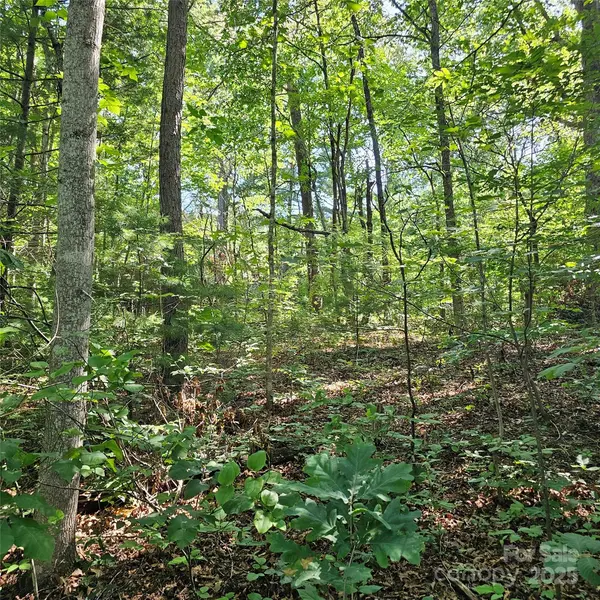 99999 Campground RD, Asheville, NC 28805