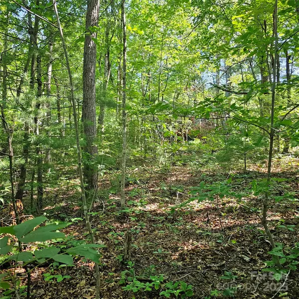 99999 Campground RD, Asheville, NC 28805