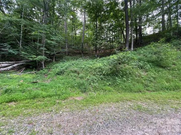 0 CHESTNUT LN #Lot 84, Mars Hill, NC 28754