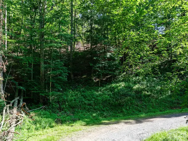 0 CHESTNUT LN #Lot 84, Mars Hill, NC 28754