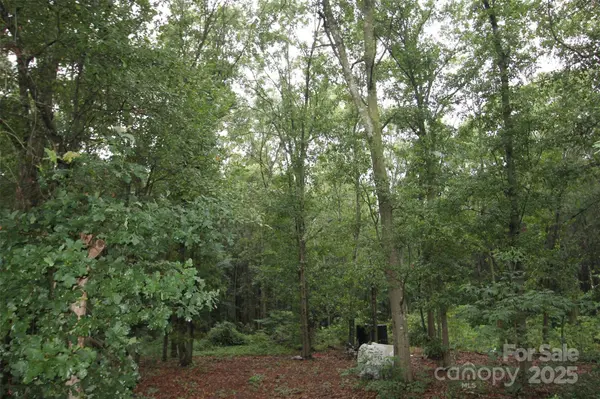 TBD Rainbow RD, Wadesboro, NC 28170