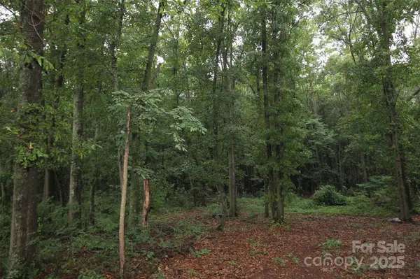 TBD Rainbow RD, Wadesboro, NC 28170