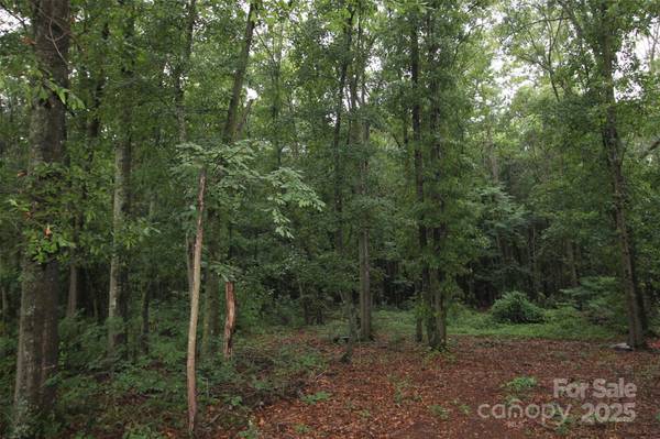 TBD Rainbow RD, Wadesboro, NC 28170