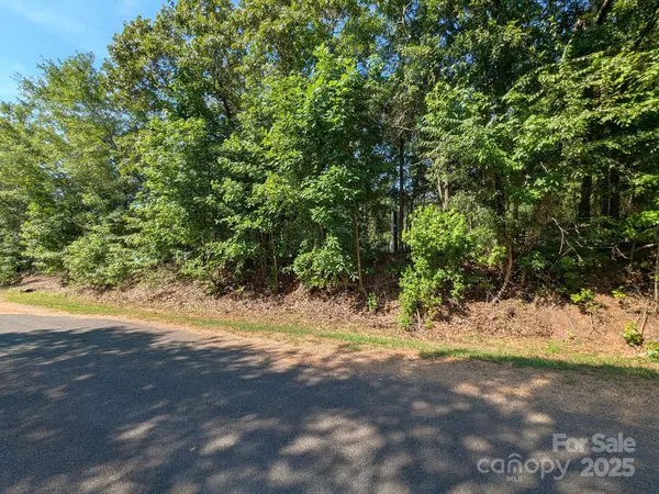 0000 Tract #1A Roddey RD, Catawba, SC 29704