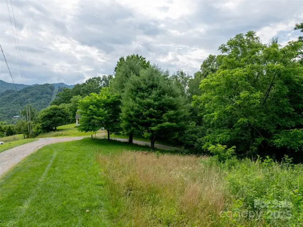 40 Sedgefield PL, Clyde, NC 28721
