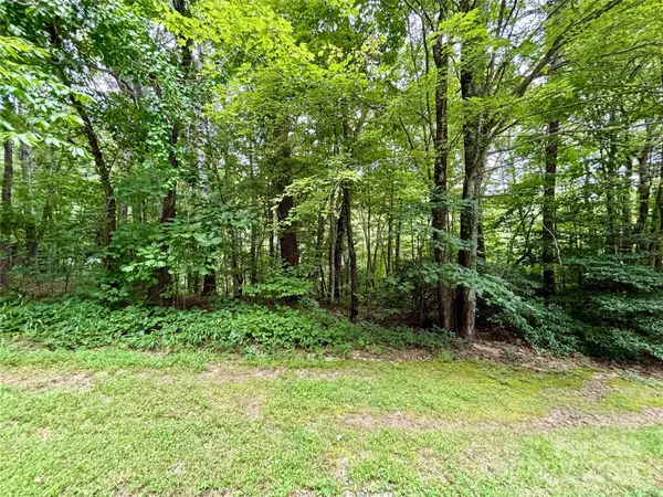 0 Sunlight Ridge CT, Hendersonville, NC 28792