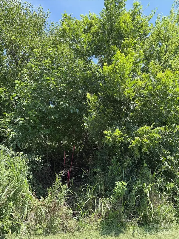 Lot 4 AND 5 W Elliot ST, Chester, SC 29706