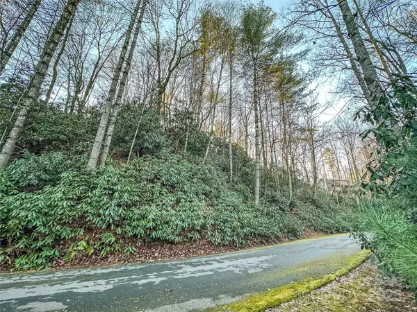 D17 Caroline LN, Pisgah Forest, NC 28768