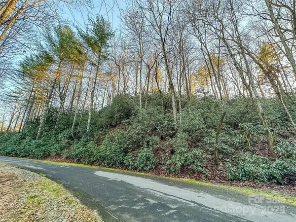 D17 Caroline LN, Pisgah Forest, NC 28768