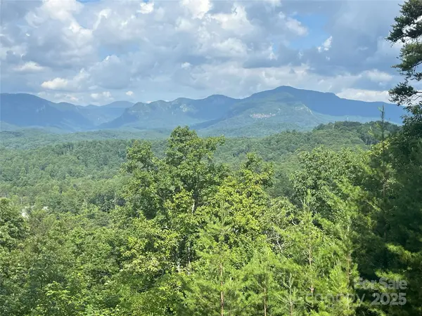 00 Bills Mountain TRL #6, Lake Lure, NC 28746